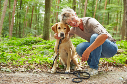 Glückliche ältere Frau mit ihrem Labrador Retriever im Wald