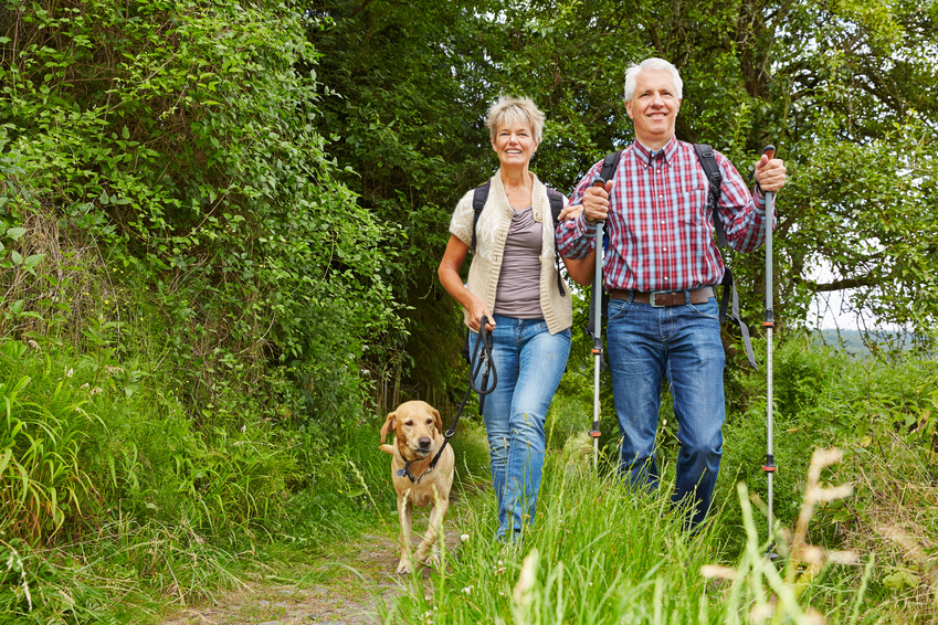 Glückliches Paar Senioren macht Nordic Walking mit Hund im Wald