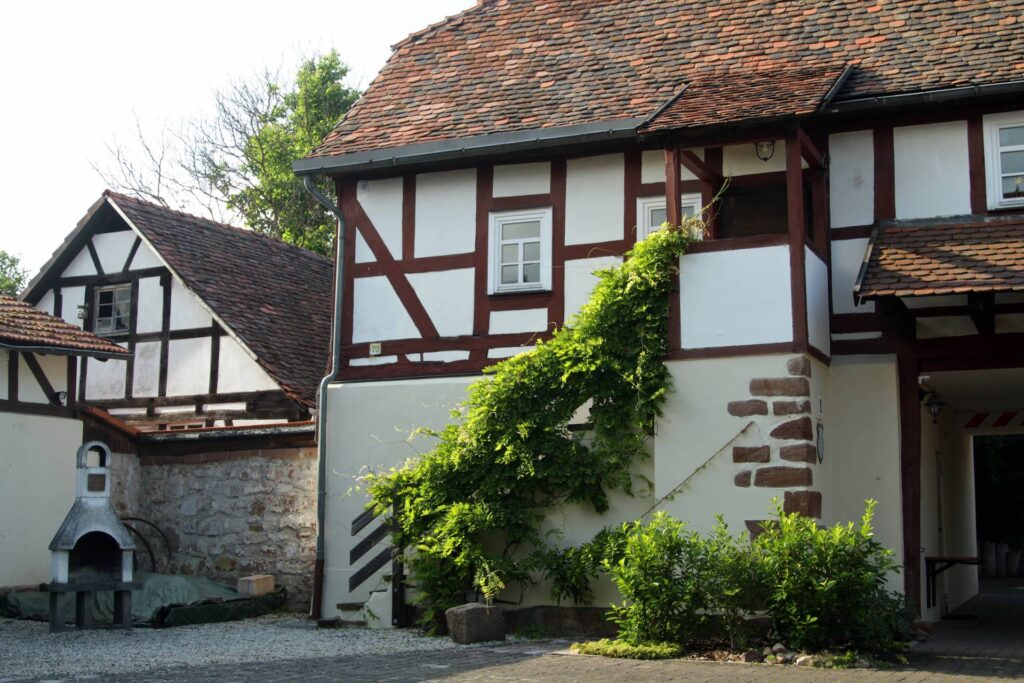 Aufgang Kastanie im Clubhaus - Hofraithe Park